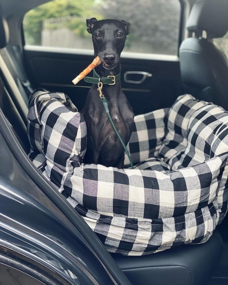 Travel Booster Car Seat ā Cozy, Secure, and Stylish for Every Pet Adventure!