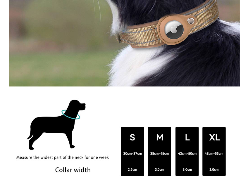 Dog Collar with Built-in Apple Air Tag Holder (Air Tag not included)