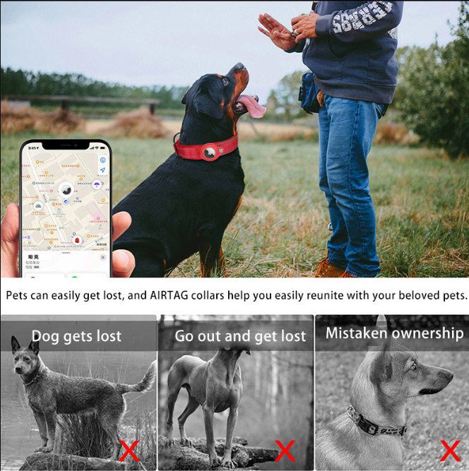 Dog Collar with Built-in Apple Air Tag Holder (Air Tag not included)