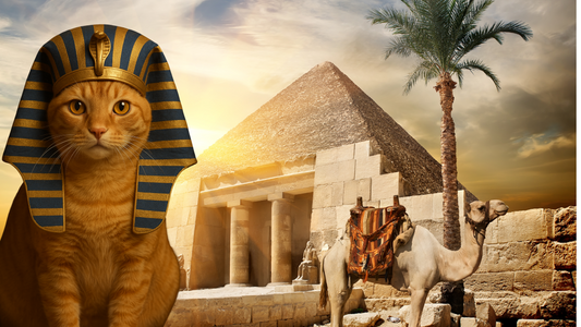 From Pharaohs to Fur Clippers: A Wild History of Pet Grooming