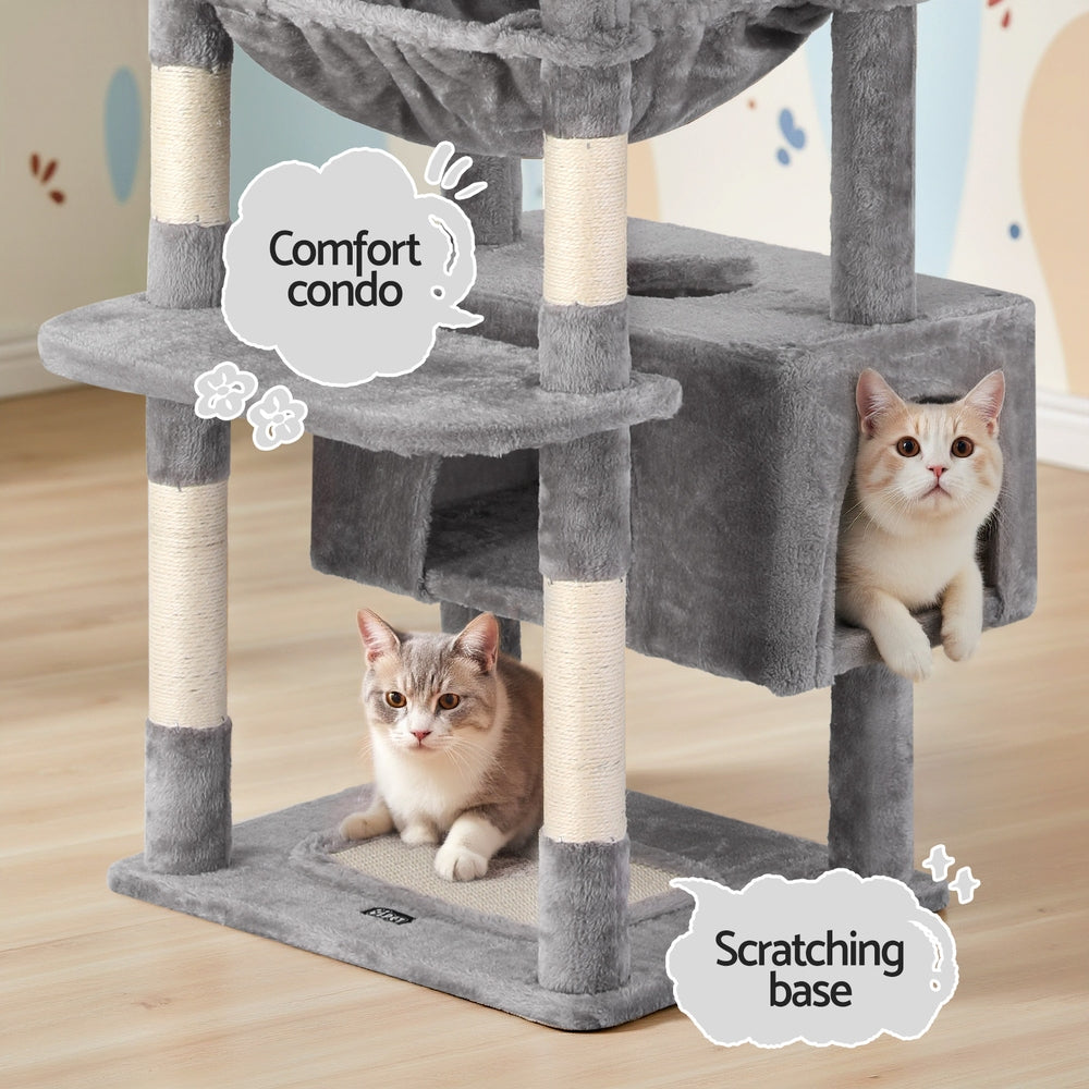 Cat tree with two cats on a wooden floor